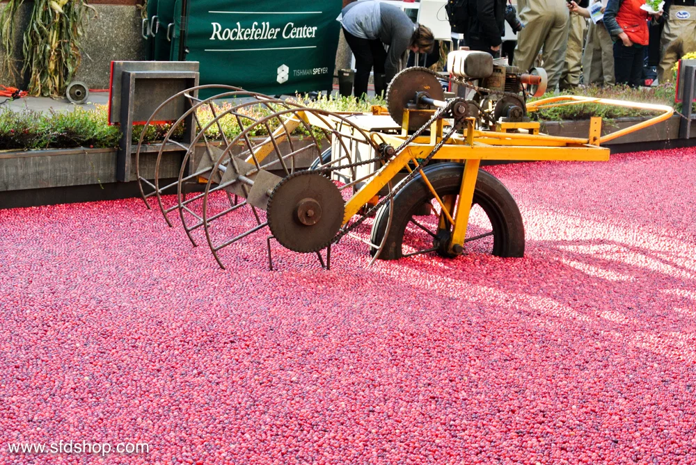 Ocean Spray Big Apple Bog fabricated by SFDS -8.jpg