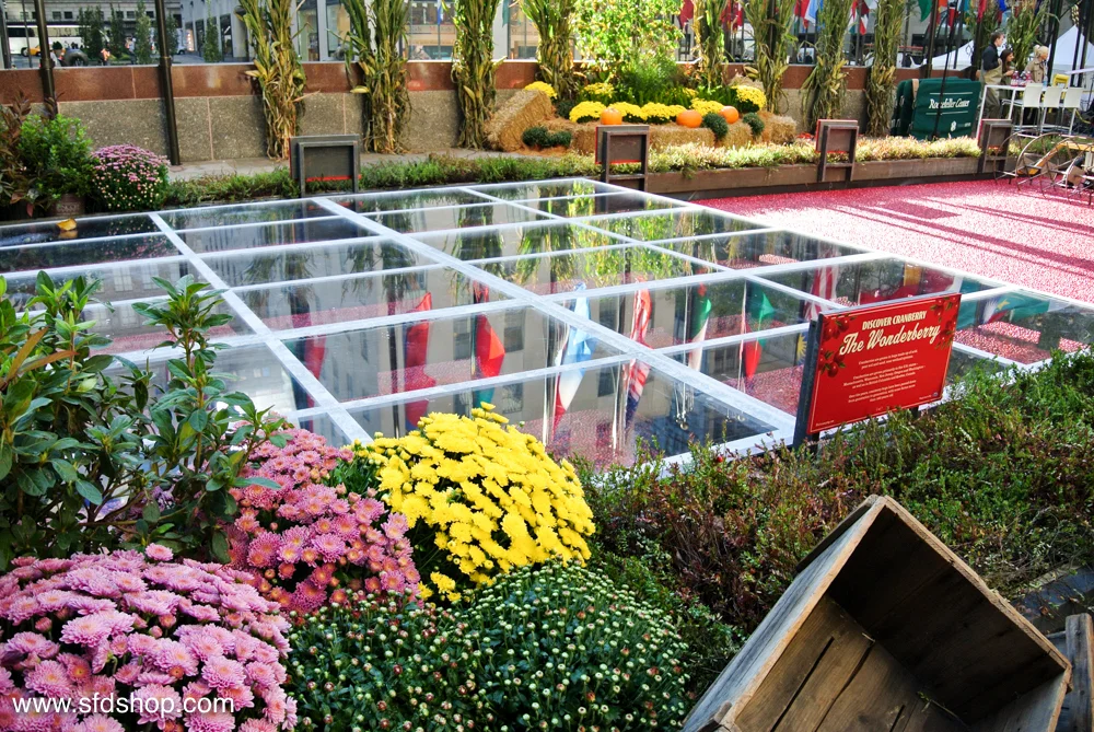 Ocean Spray Big Apple Bog fabricated by SFDS -25.jpg