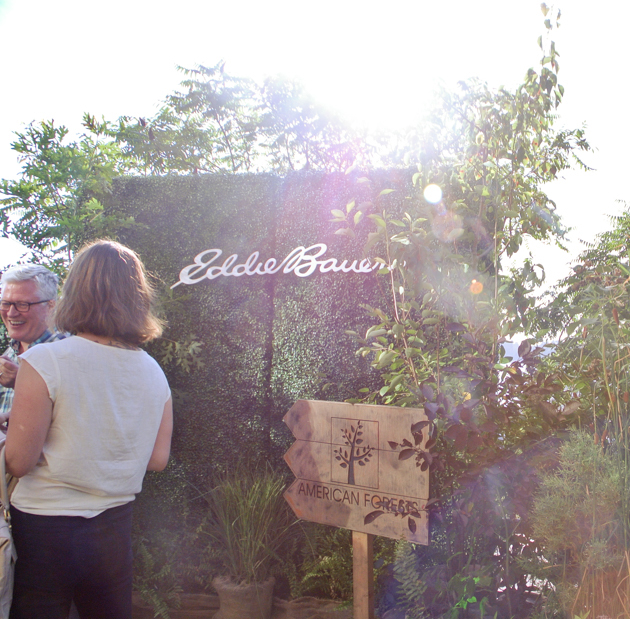EDDIE BAUER 