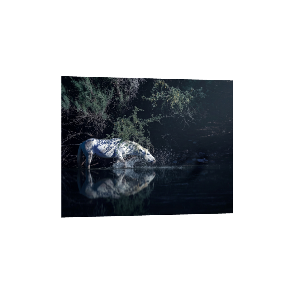 ptq_34_6_1509_0_14981_11985_0_false_ffffff_0_0_.png