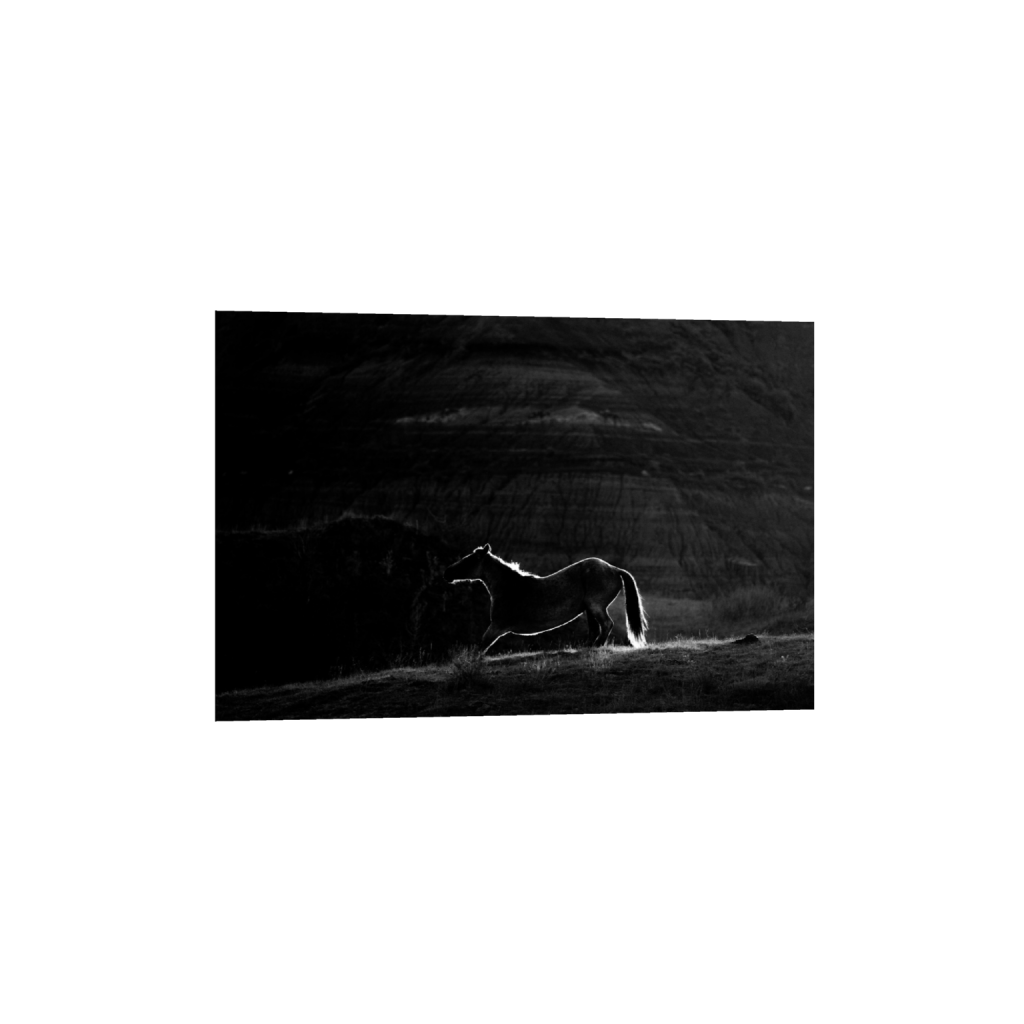 ptq_34_3_0_0_18000_12000_0_false_ffffff_0_0_.png