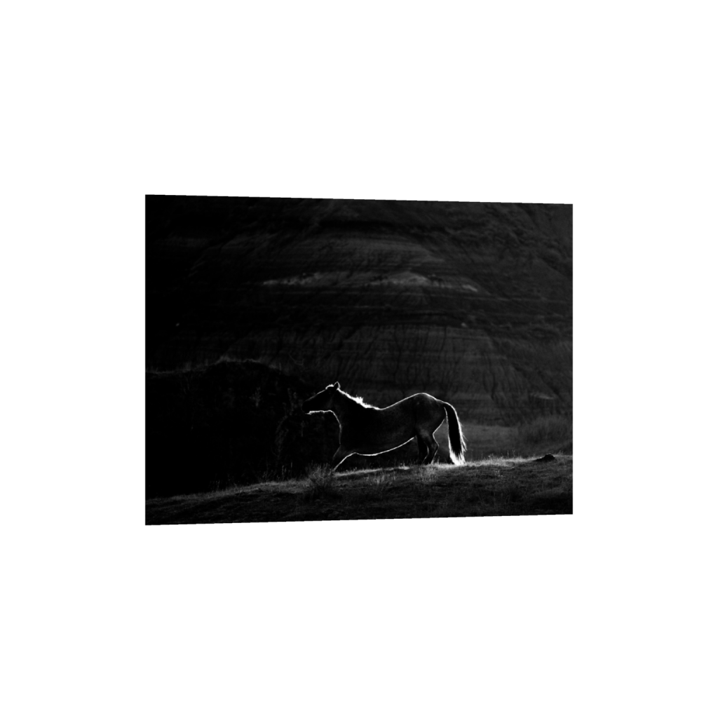 ptq_34_5_1000_0_16000_12000_0_false_ffffff_0_0_.png