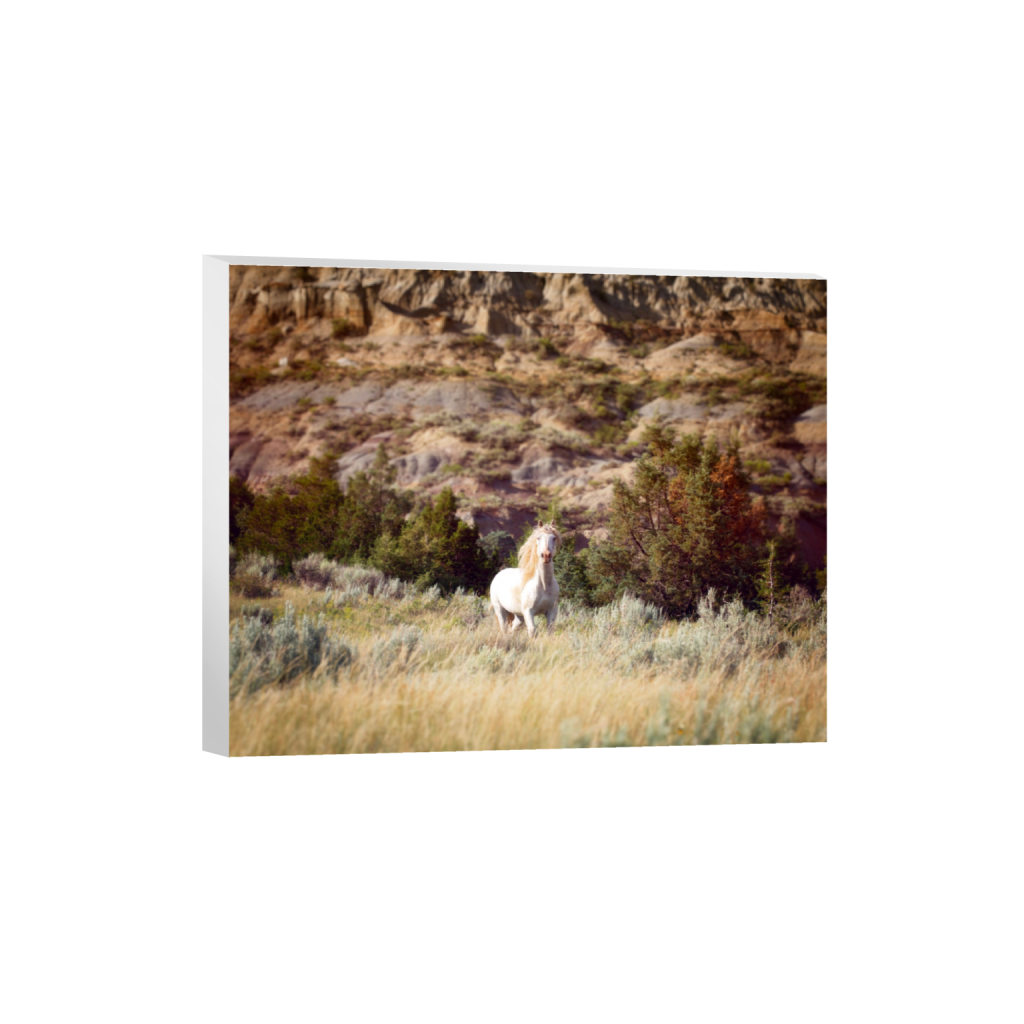 ptq_7_6_1500_0_15000_12000_0_false_ffffff_0_0_.png
