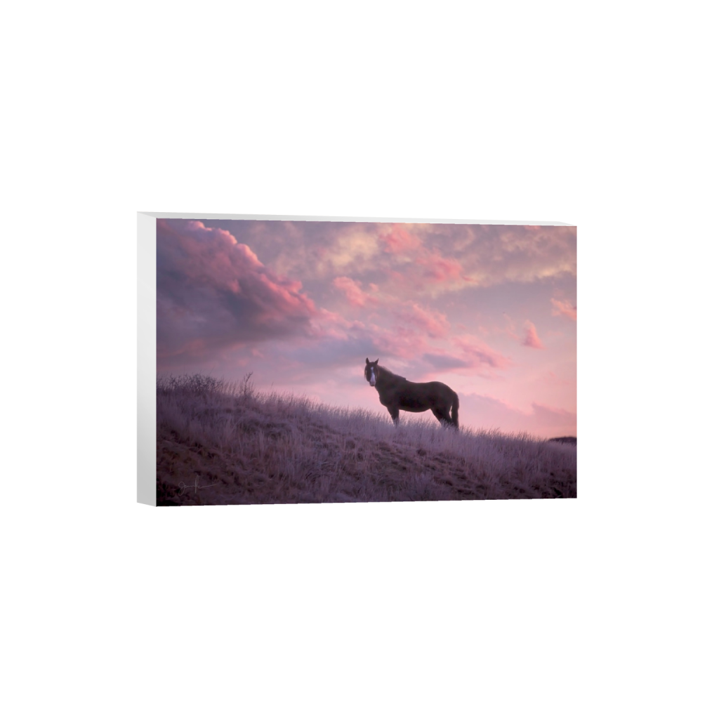 ptq_7_3_0_0_9000_6000_0_false_ffffff_0_0_.png