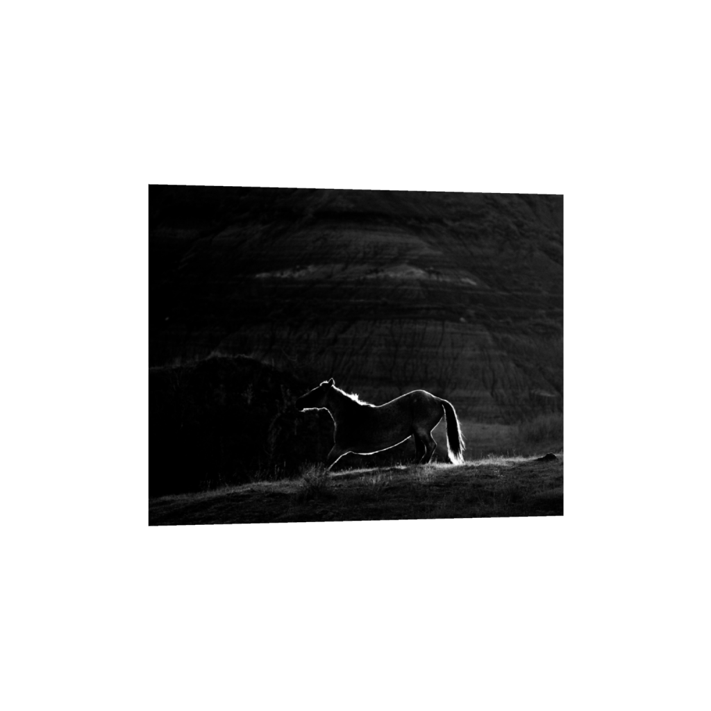 ptq_34_6_1500_0_15000_12000_0_false_ffffff_0_0_.png