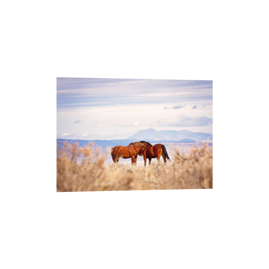 ptq_34_7_300_0_8400_6000_0_false_ffffff_0_0_.png