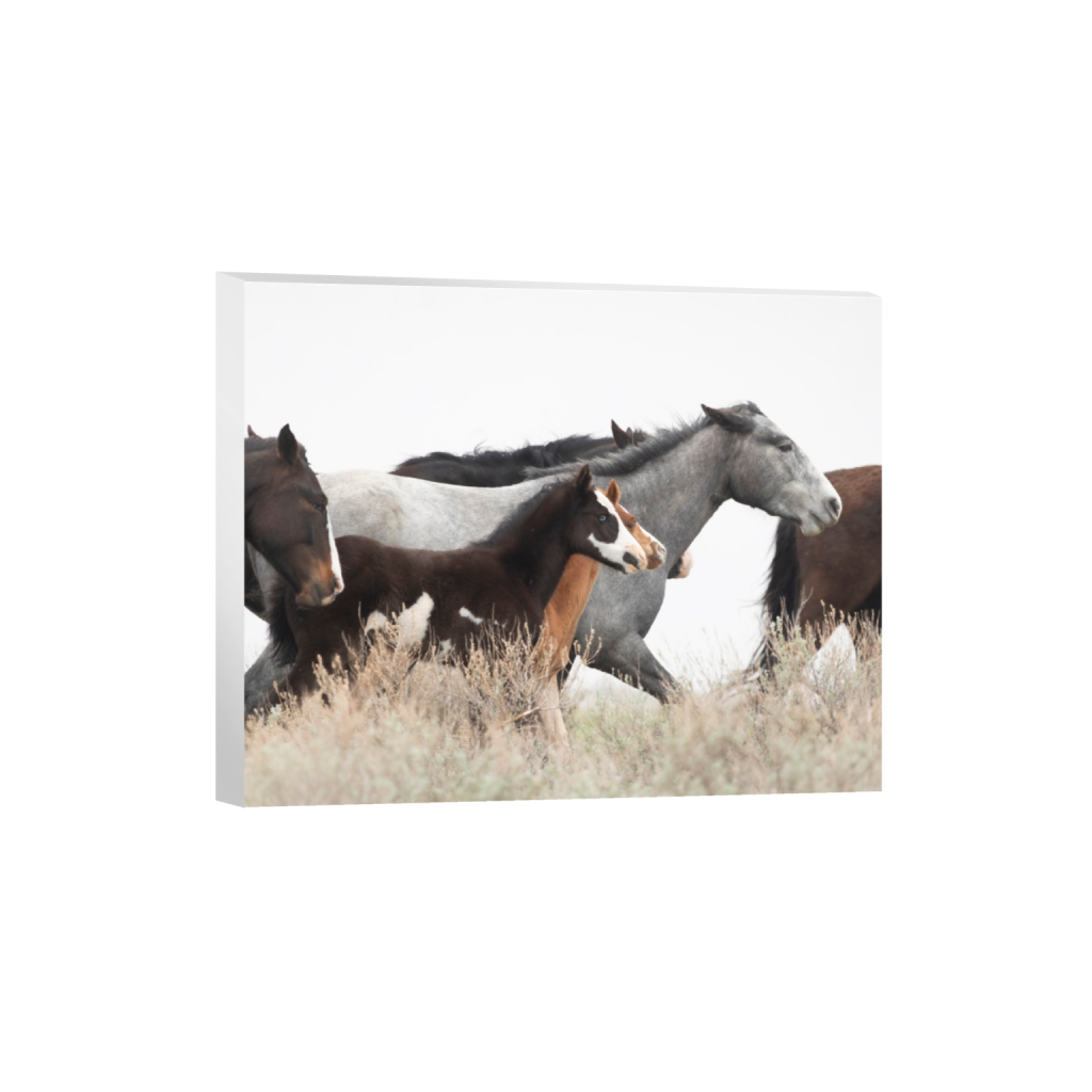 ptq_7_6_2499_0_15000_12000_0_false_ffffff_0_0_.png