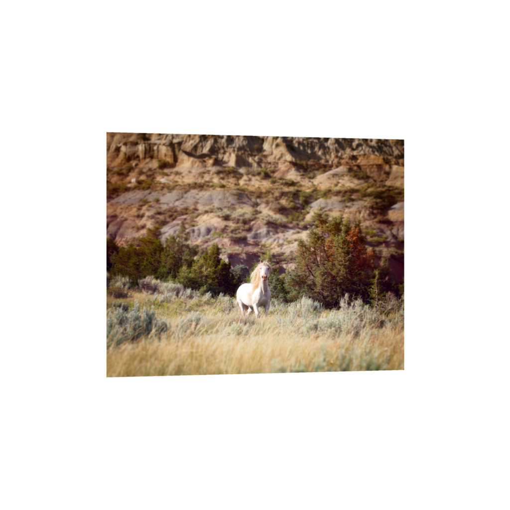 ptq_34_6_1500_0_15000_12000_0_false_ffffff_0_0_.png