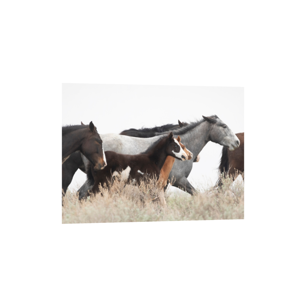ptq_34_5_1000_0_16000_12000_0_false_ffffff_0_0_.png