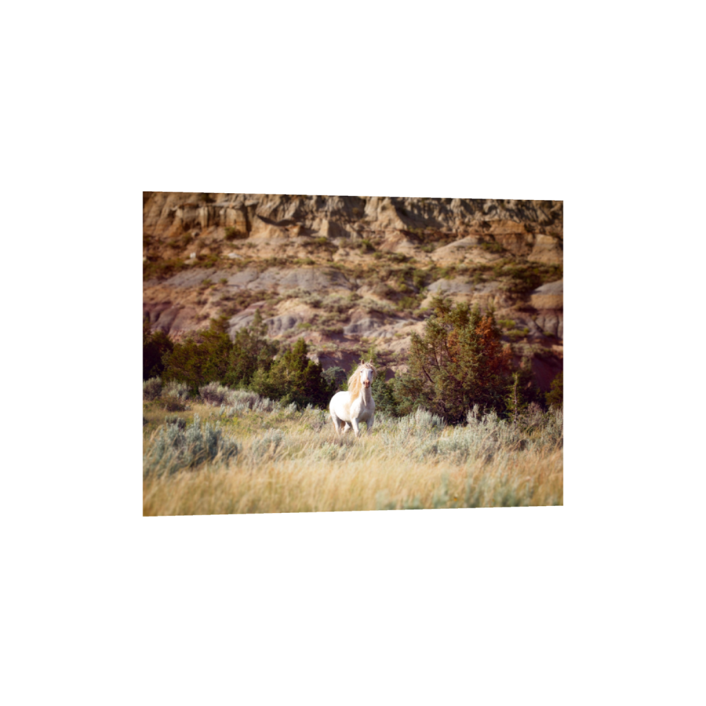 ptq_34_5_1000_0_16000_12000_0_false_ffffff_0_0_.png
