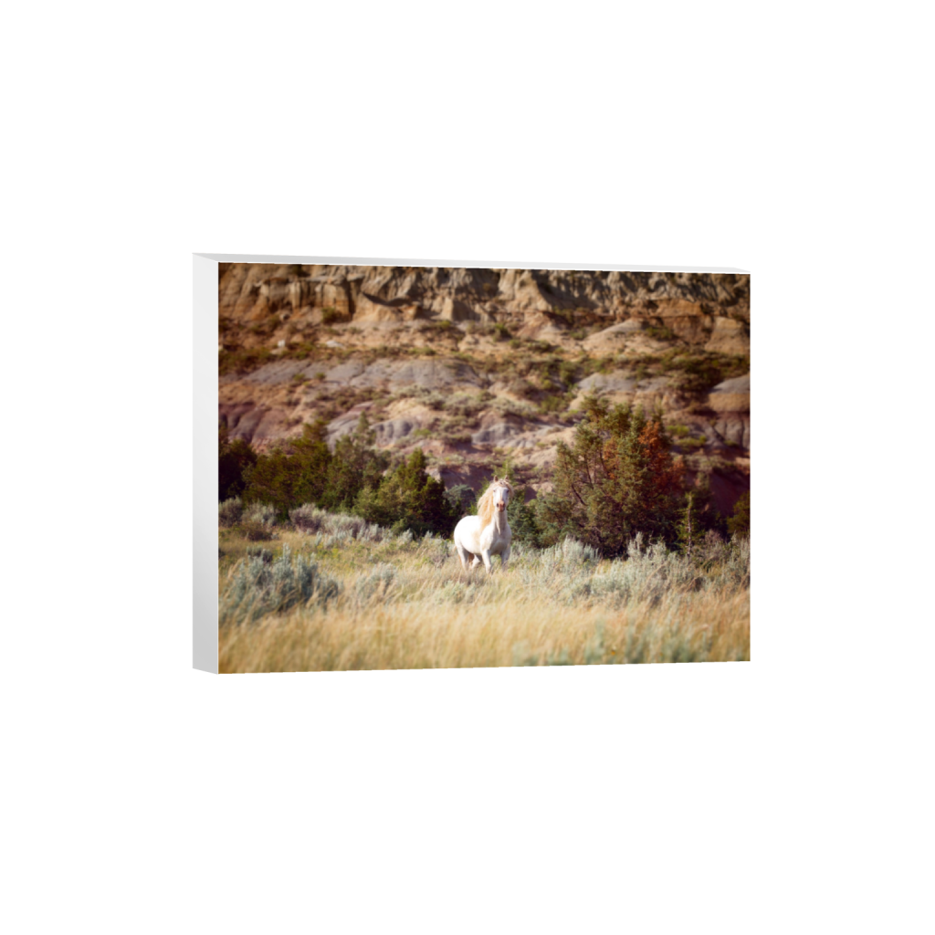 ptq_7_5_1000_0_16000_12000_0_false_ffffff_0_0_.png