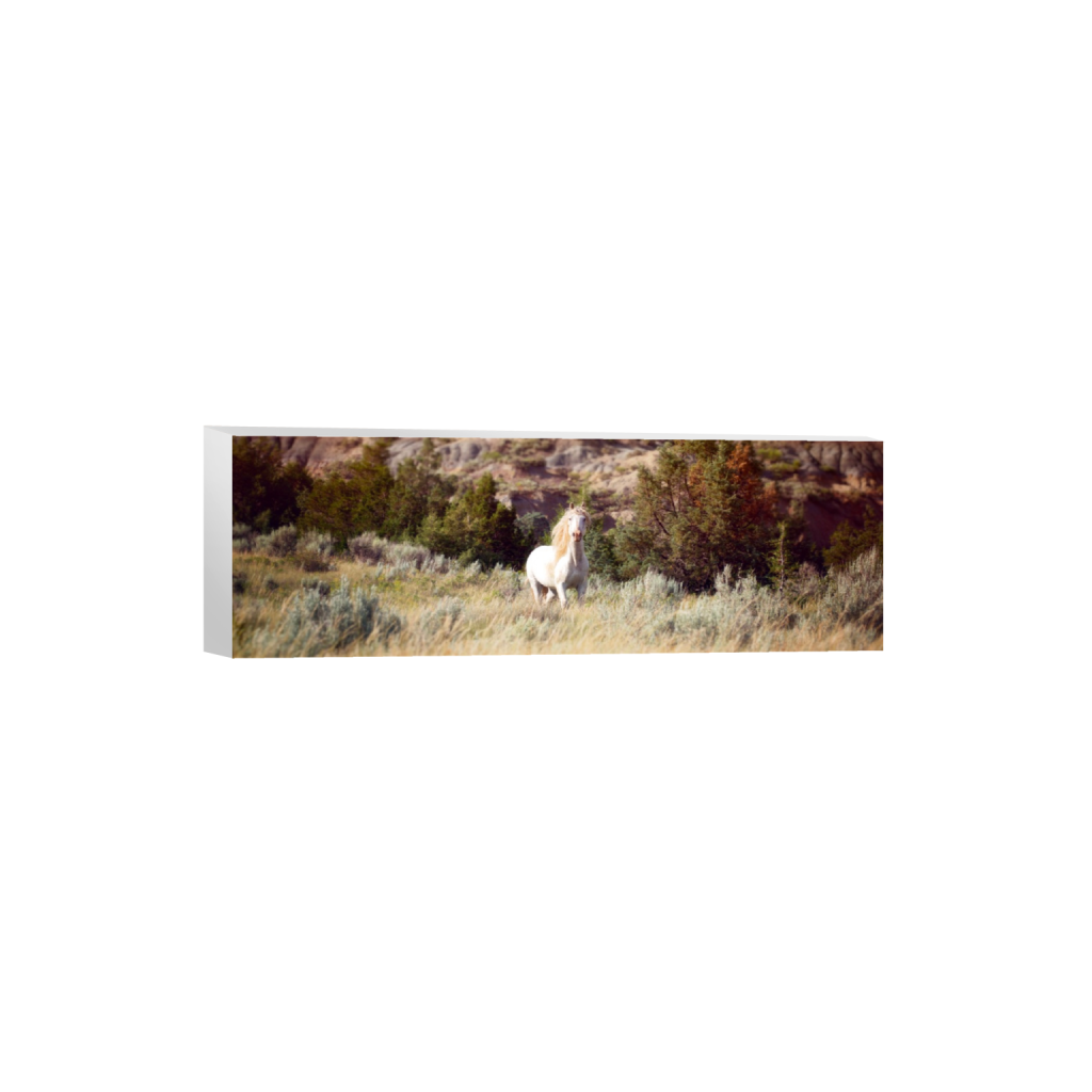 ptq_7_2_0_4440_18000_6000_0_false_ffffff_0_0_.png