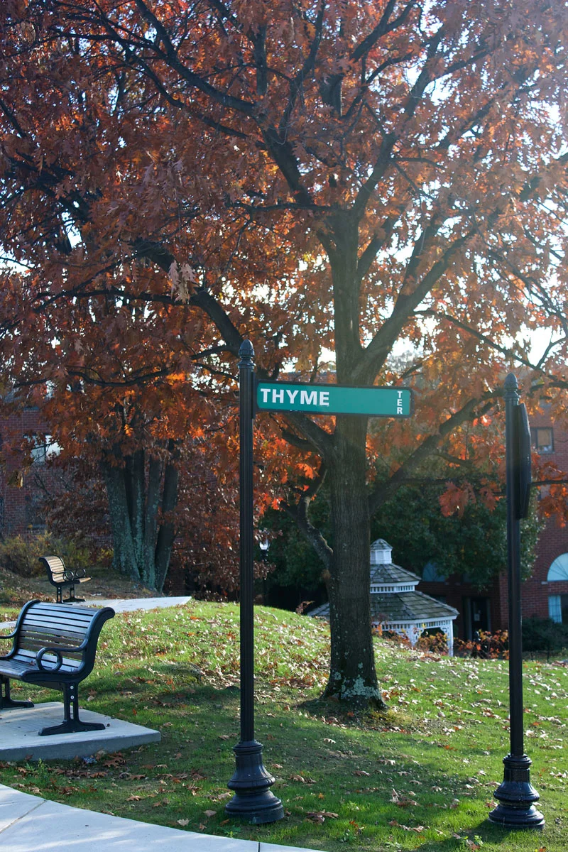 Thyme-Terrace-at-the-Culinary-Institute-of-America.jpg