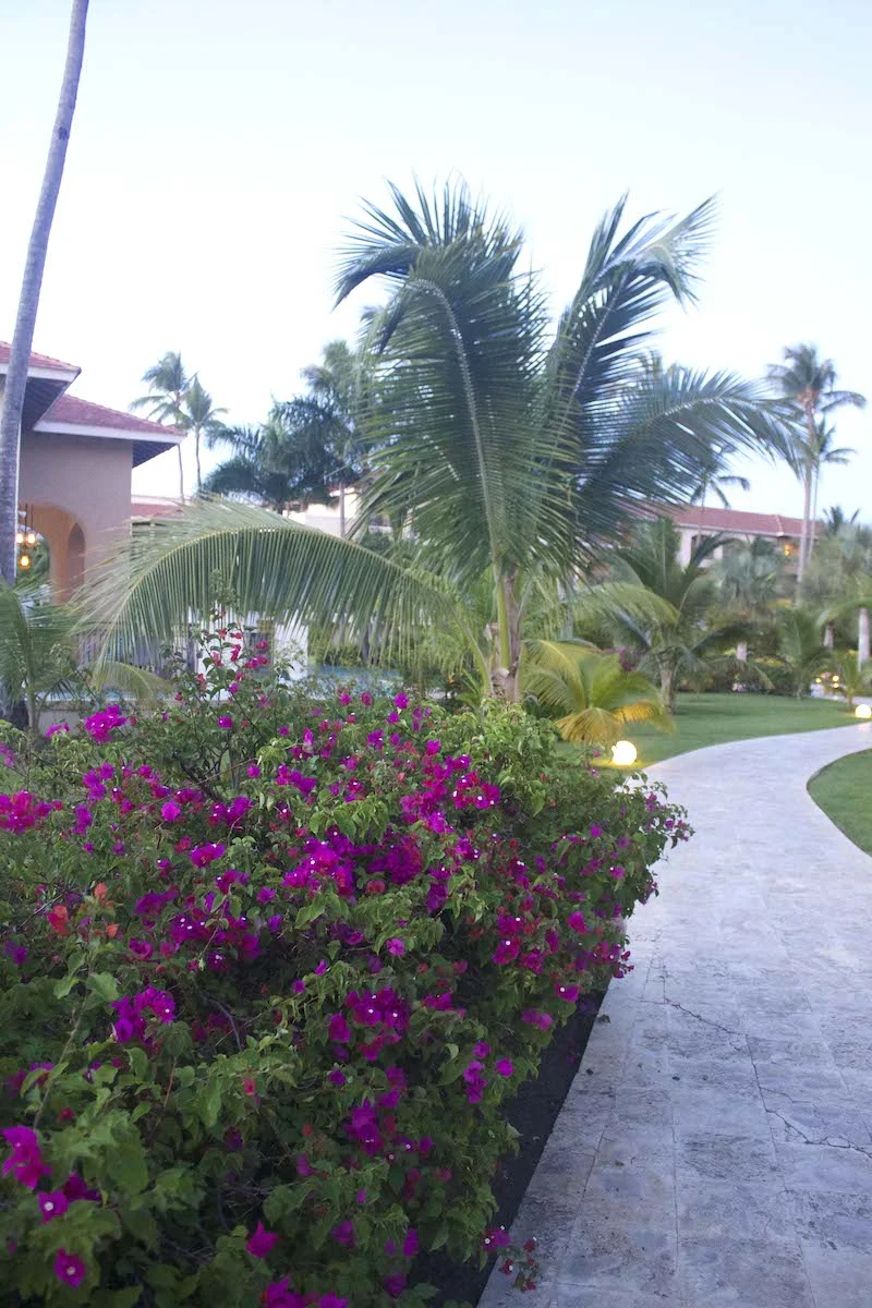 tropical-flowers-at-Now-Larimer.jpg