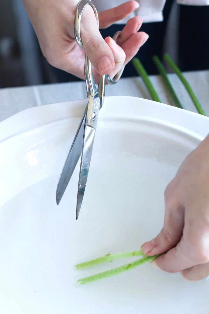 cutting-flower-stems-under-water.jpg