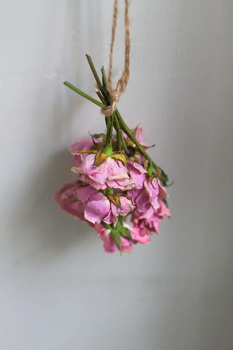 drying-roses.jpg