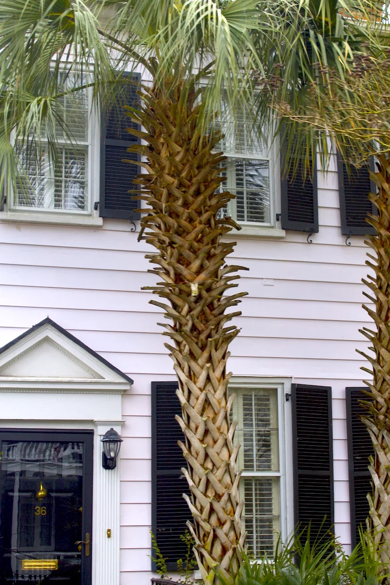 Charleston-home.jpg
