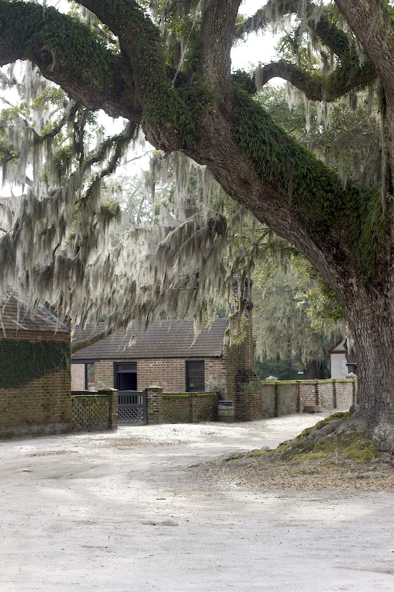Middleton-Place-3.jpg