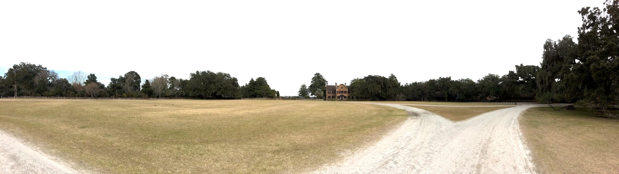 Middleton-Place2.jpg