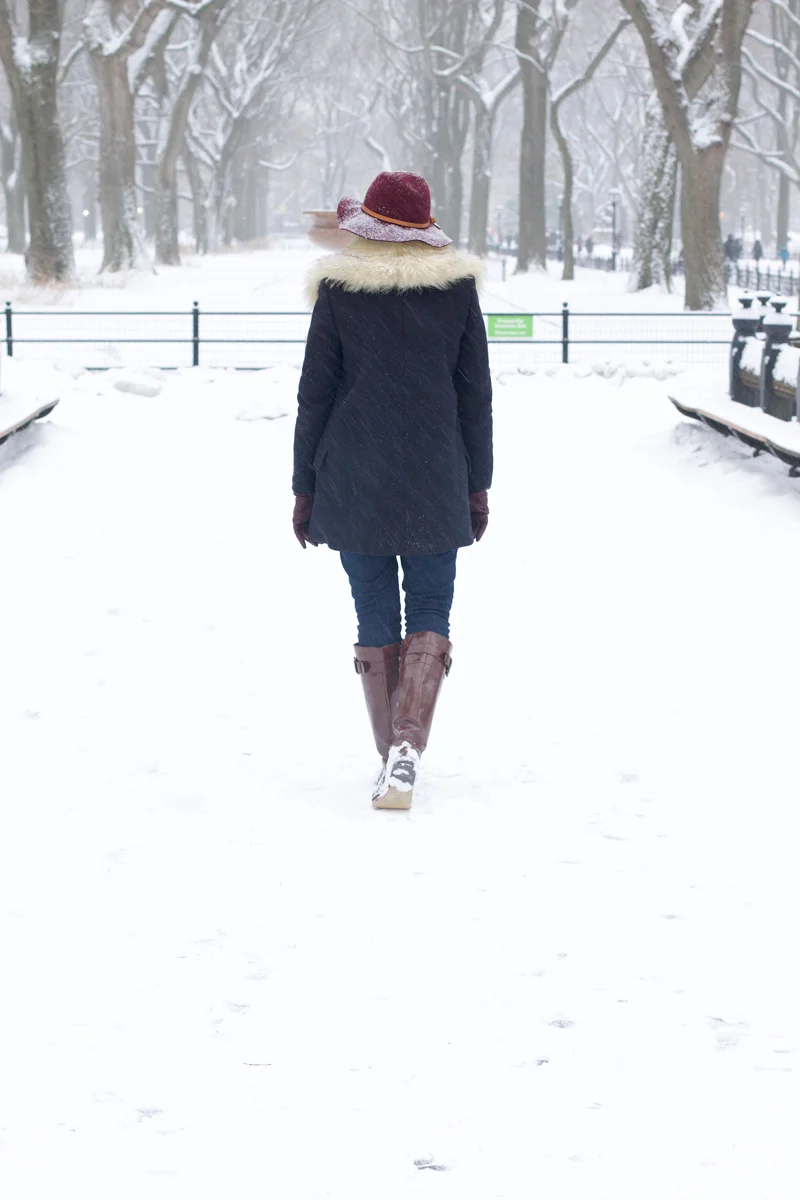 Snowy-Central-Park.jpg