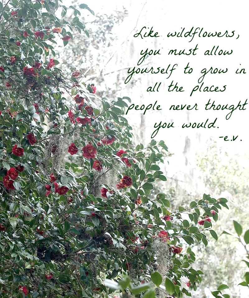 wildflower-quote.jpg