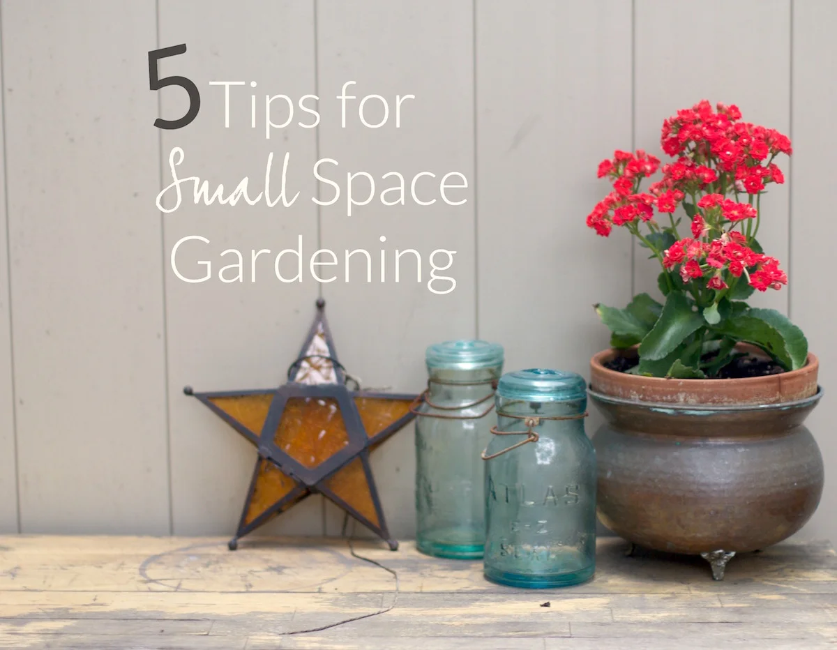 5-Tips-for-Small-Space-Gardening.jpg