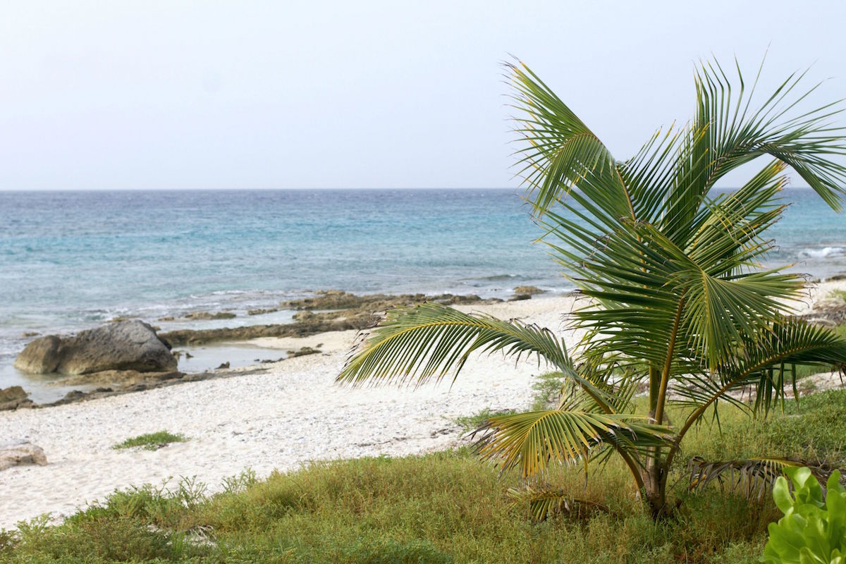 Cozumel-Mexico25.jpg