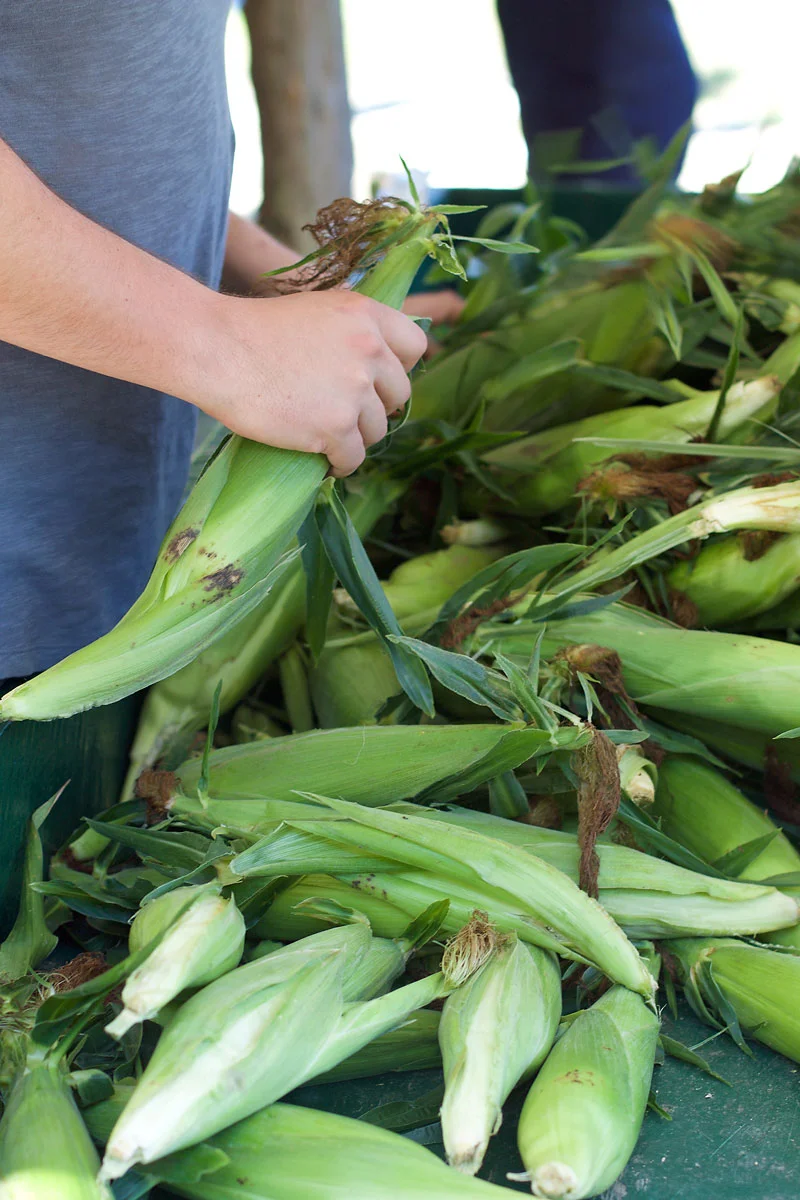 fresh-corn.jpg