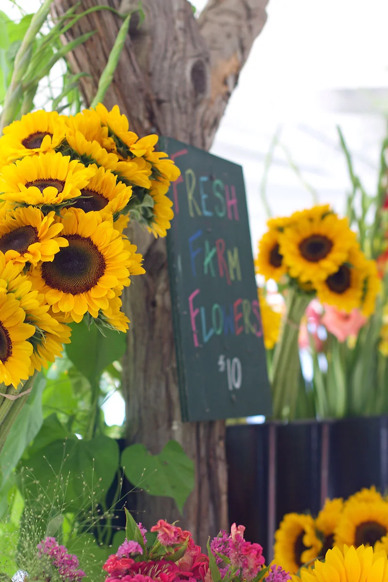 sunflowers.jpg