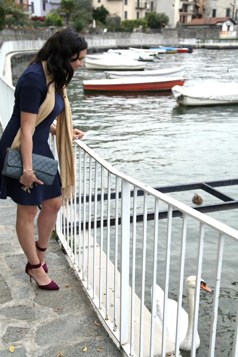 1-Lake-Como-swans.jpg
