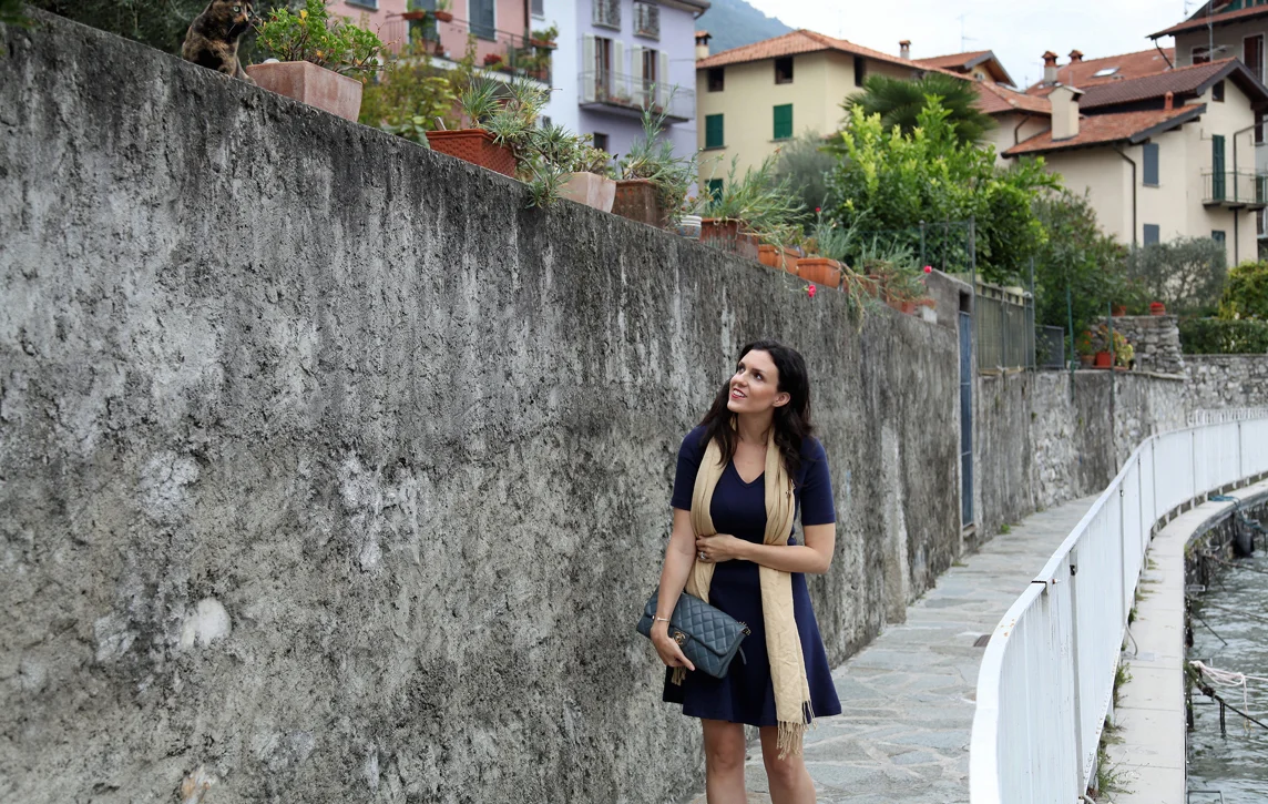 Cats-of-Lake-Como.jpg