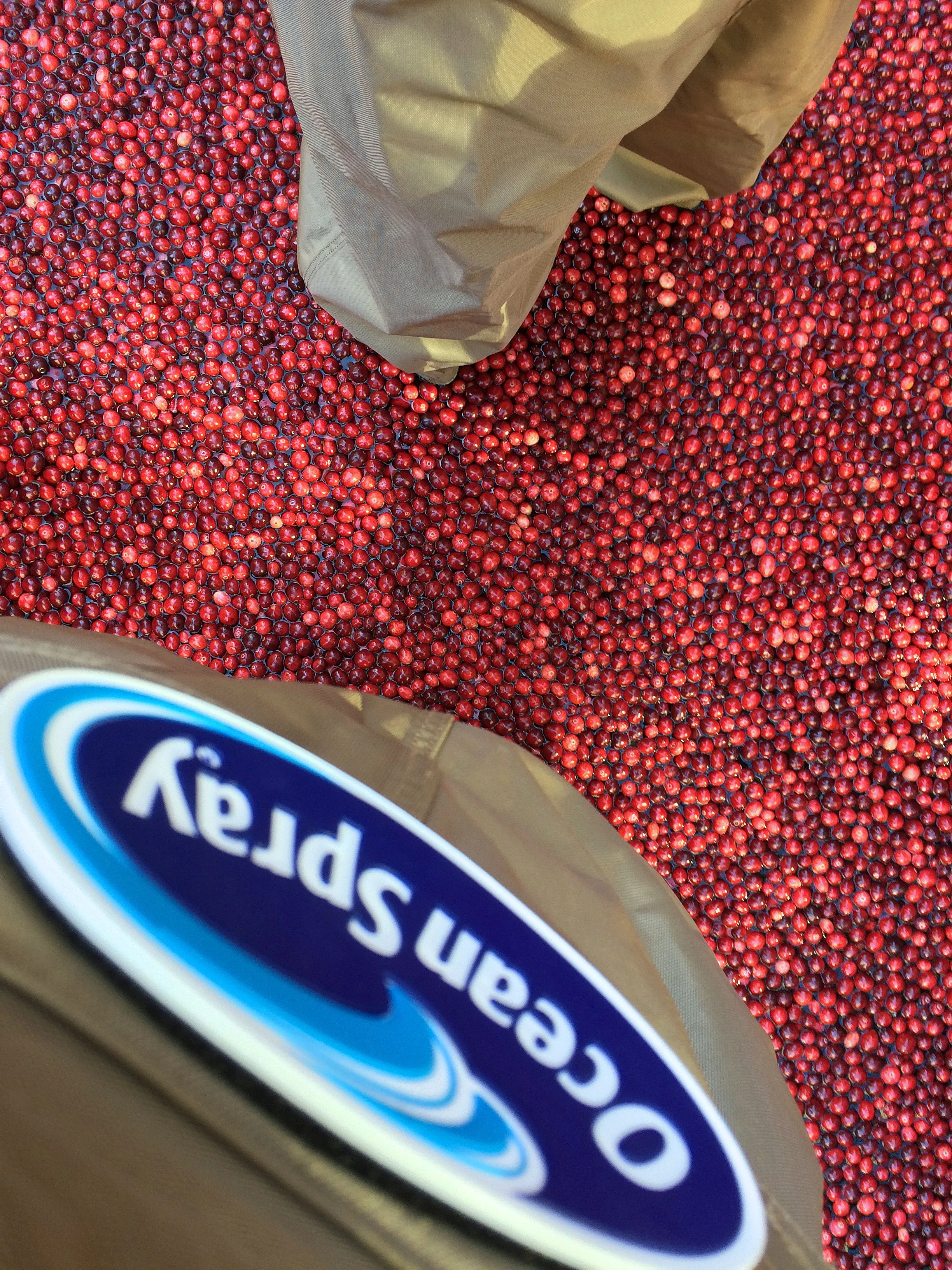 Thanksgiving-Then-Now-with-Ocean-Spray-13.jpg