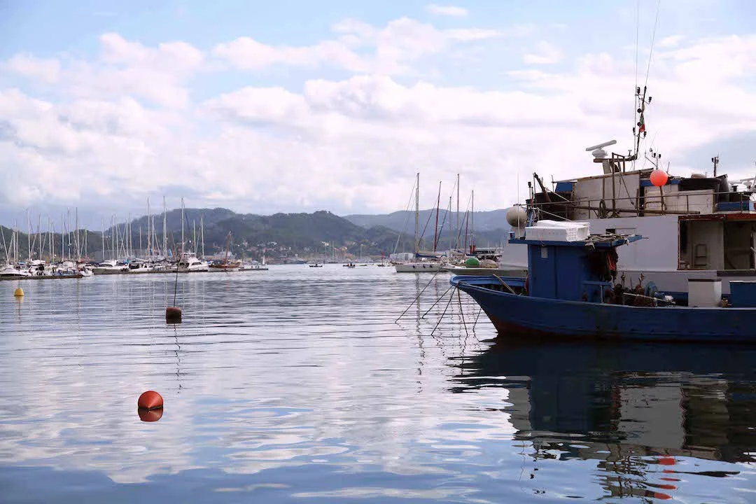 boats-in-La-Spezia-1.jpg