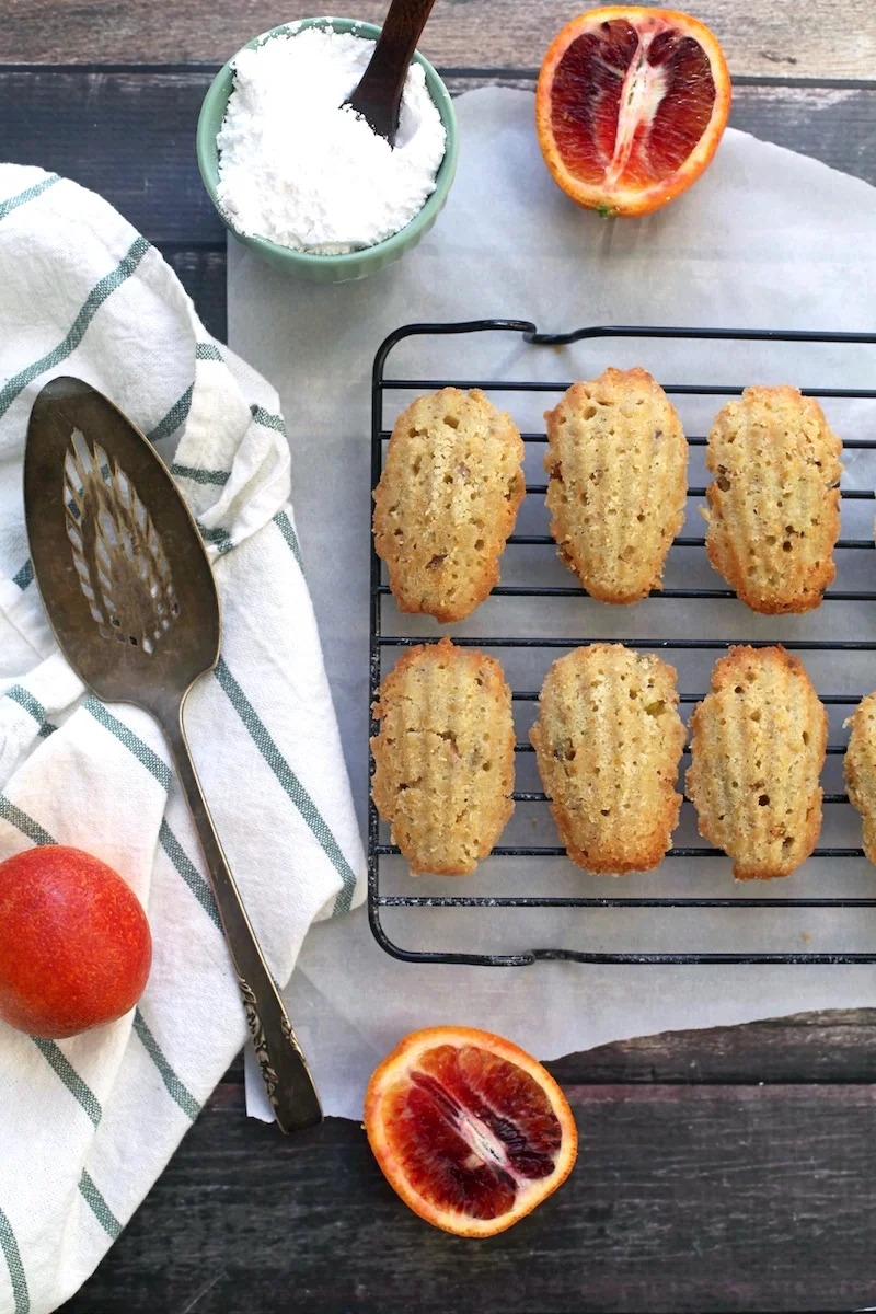 Madeleine-cookies.jpg
