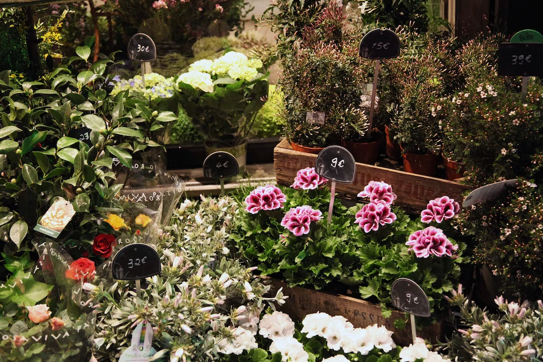 flower-stand-in-Paris.jpg