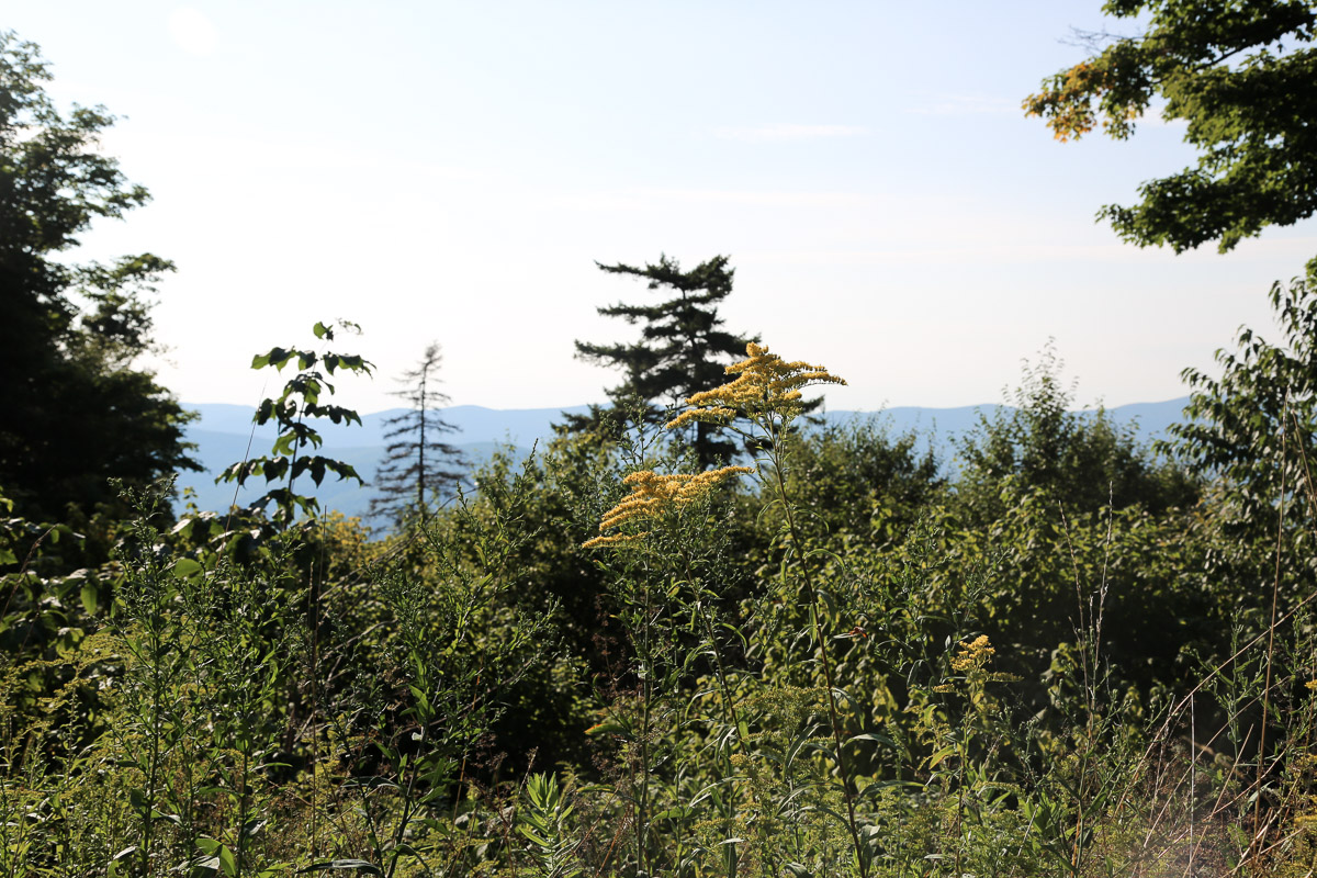 Berkshires5.jpg