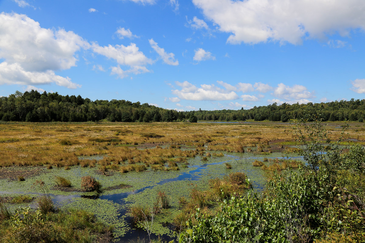 Berkshires6.jpg