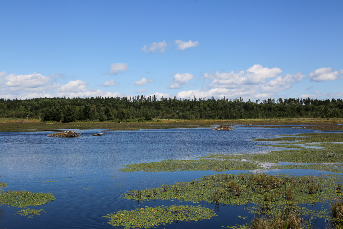 Berkshires9.jpg