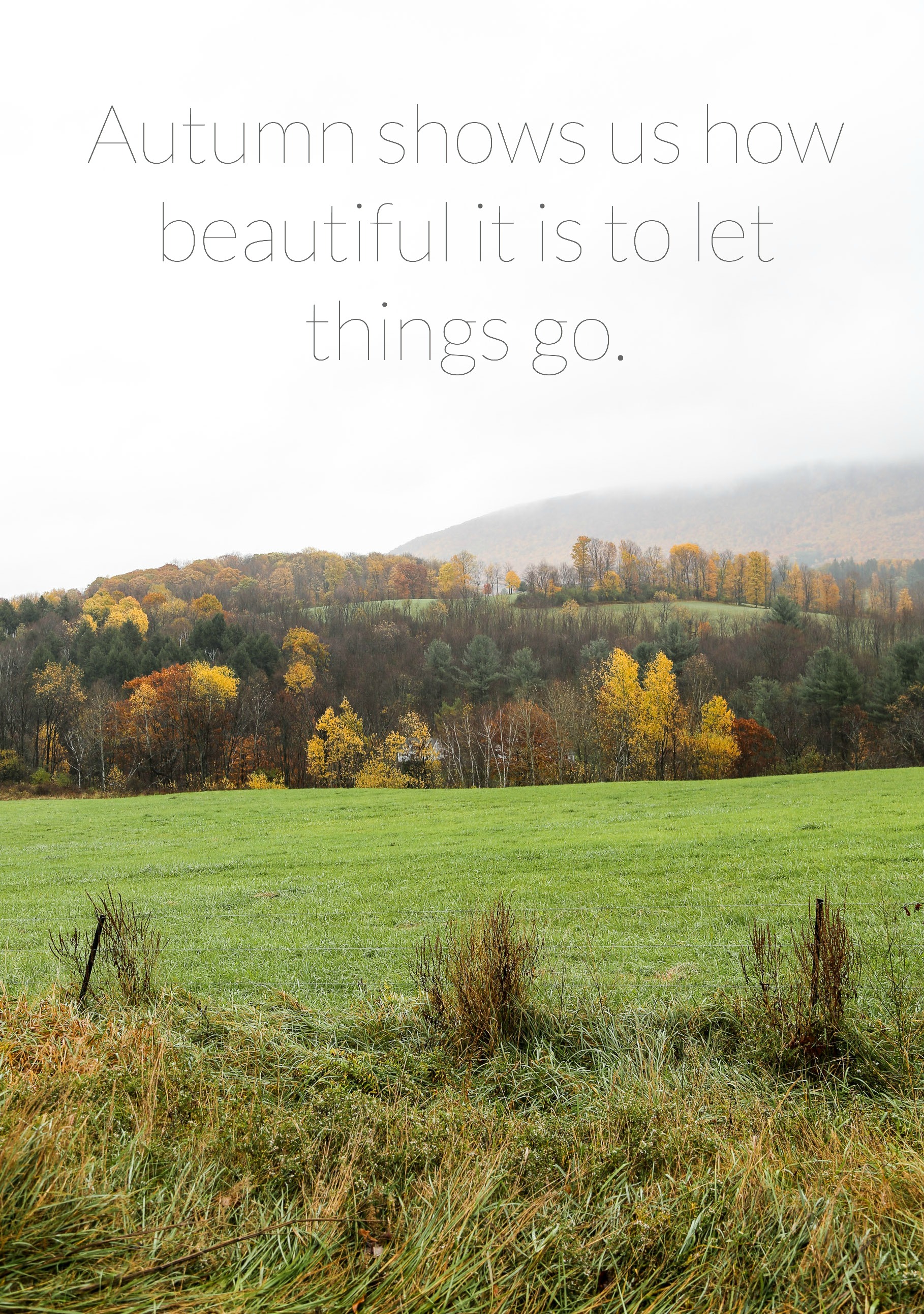 quotes-about-fall.jpeg