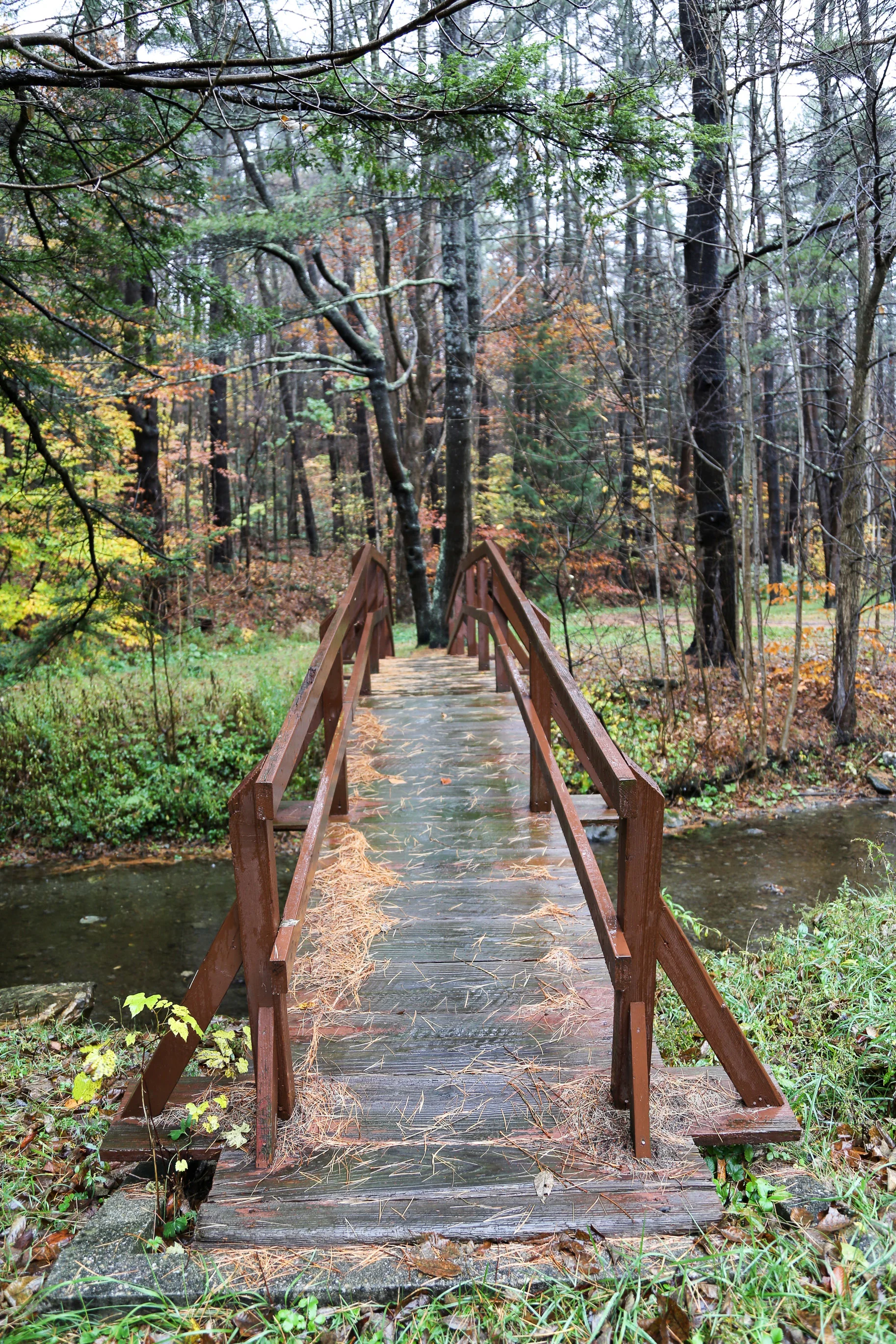 New-England-in-the-fall-2.jpg