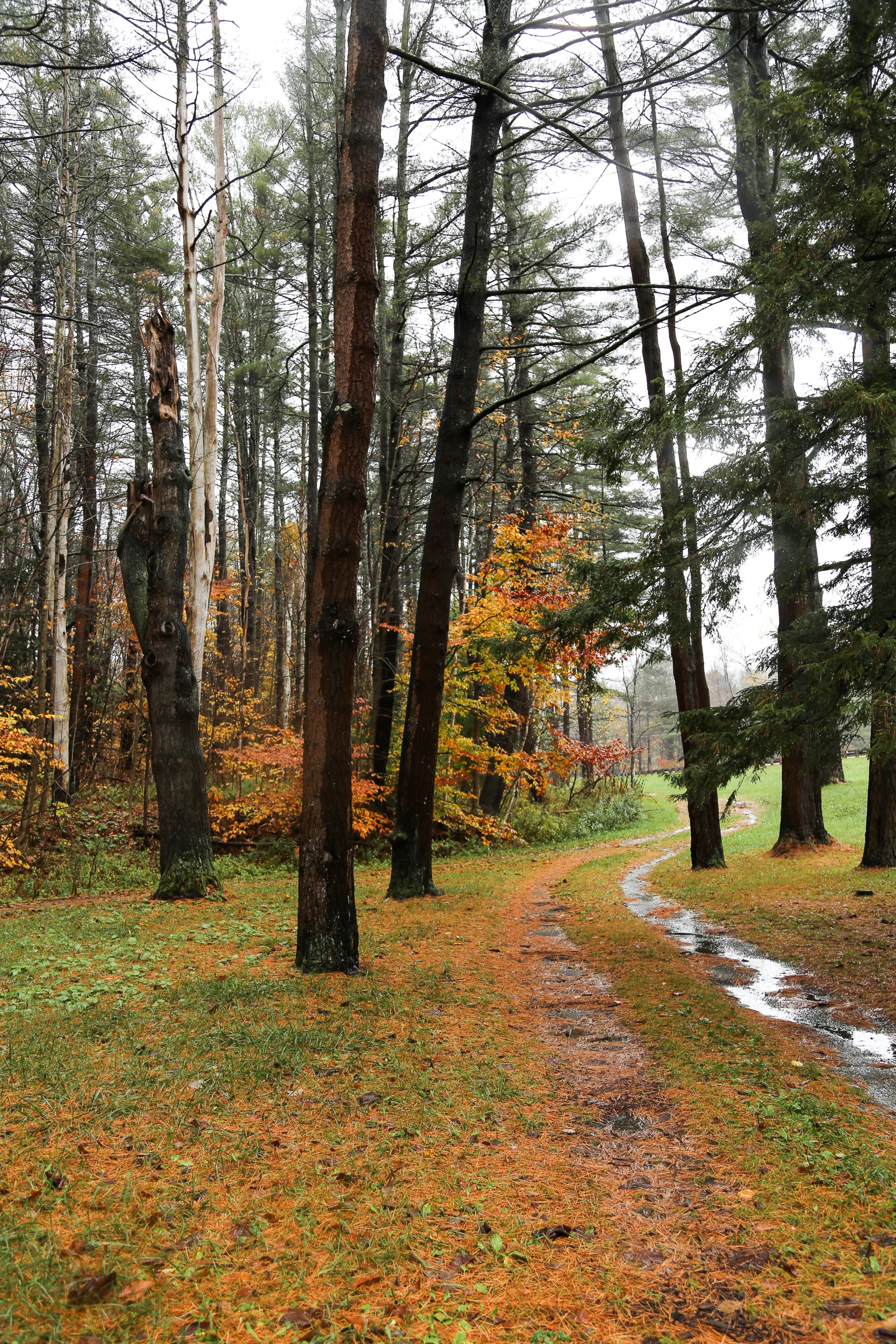 New-England-in-the-fall-3.jpg