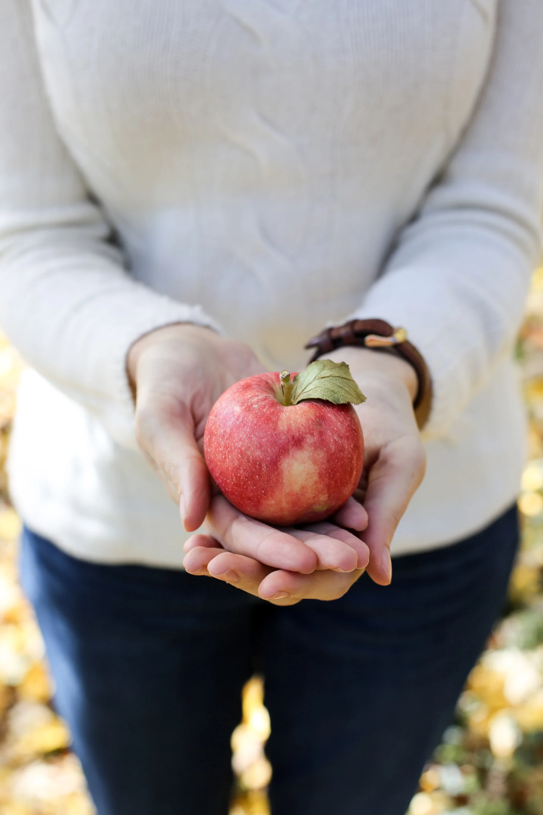 New-England-in-the-fall-8.jpg