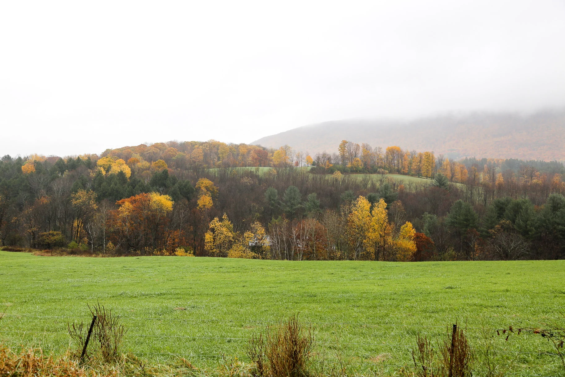 berkshires-in-the-fall-2.jpg