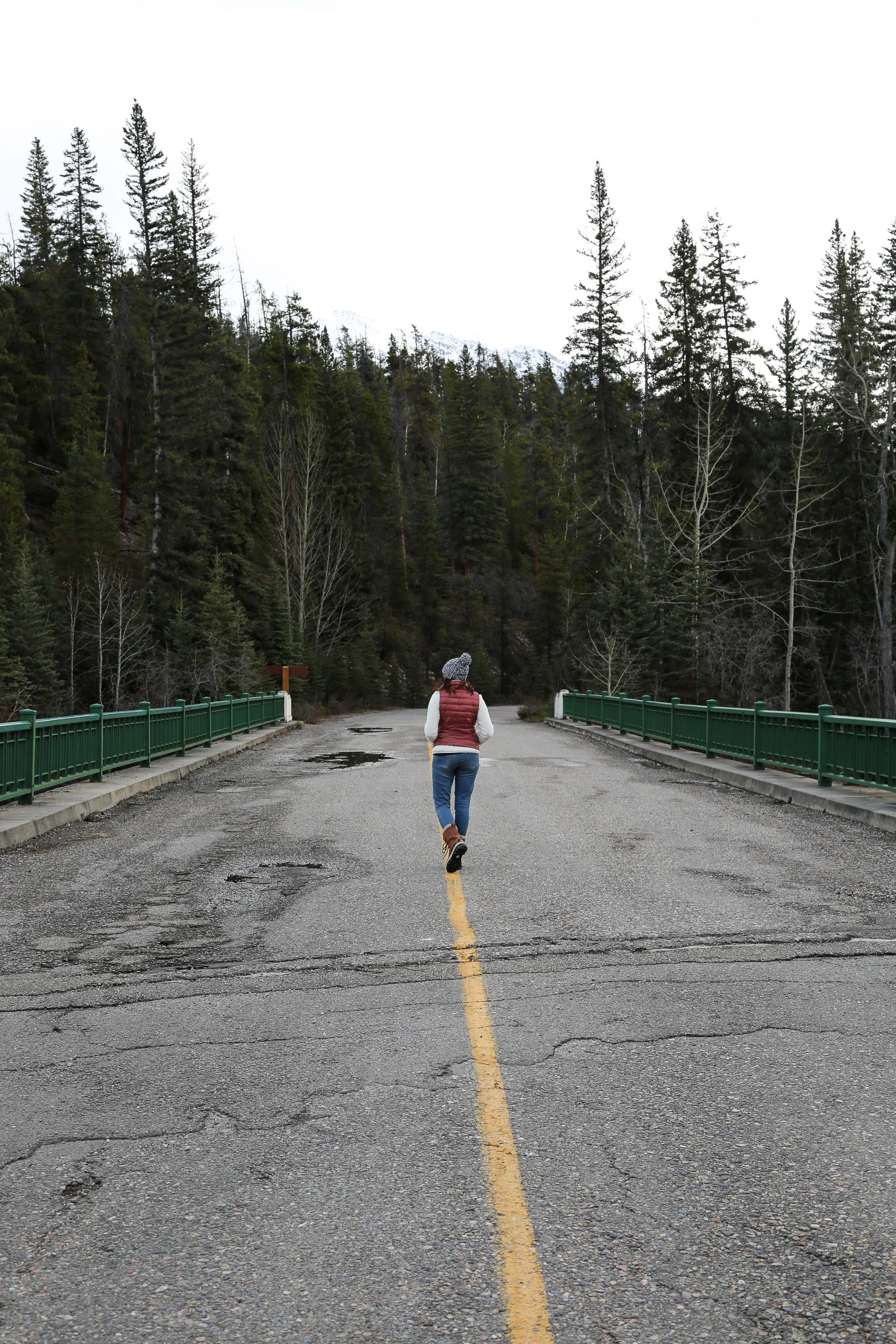 icefield-parkway-drive-alberta-2.jpg