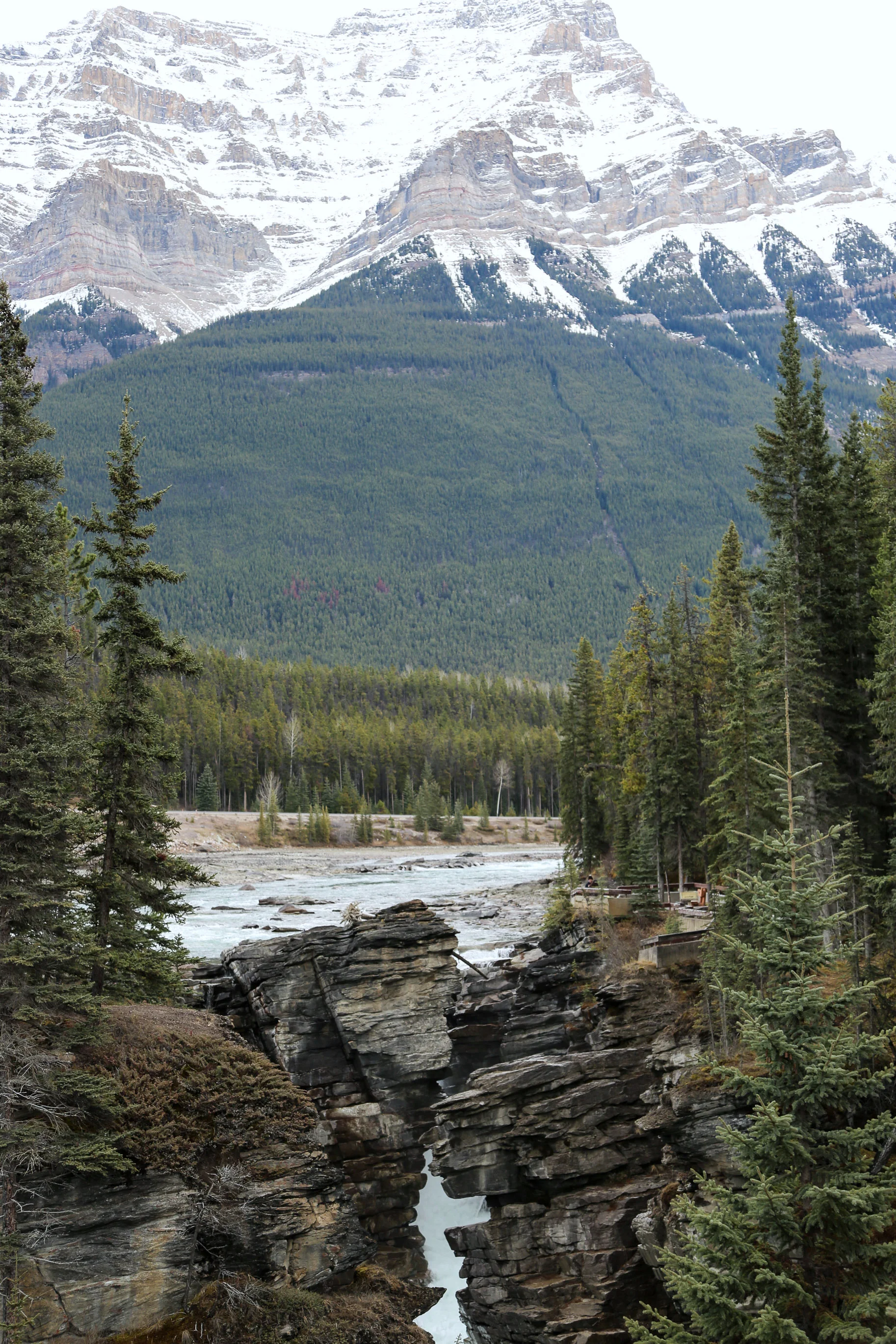 icefield-parkway-drive-alberta-8.jpg