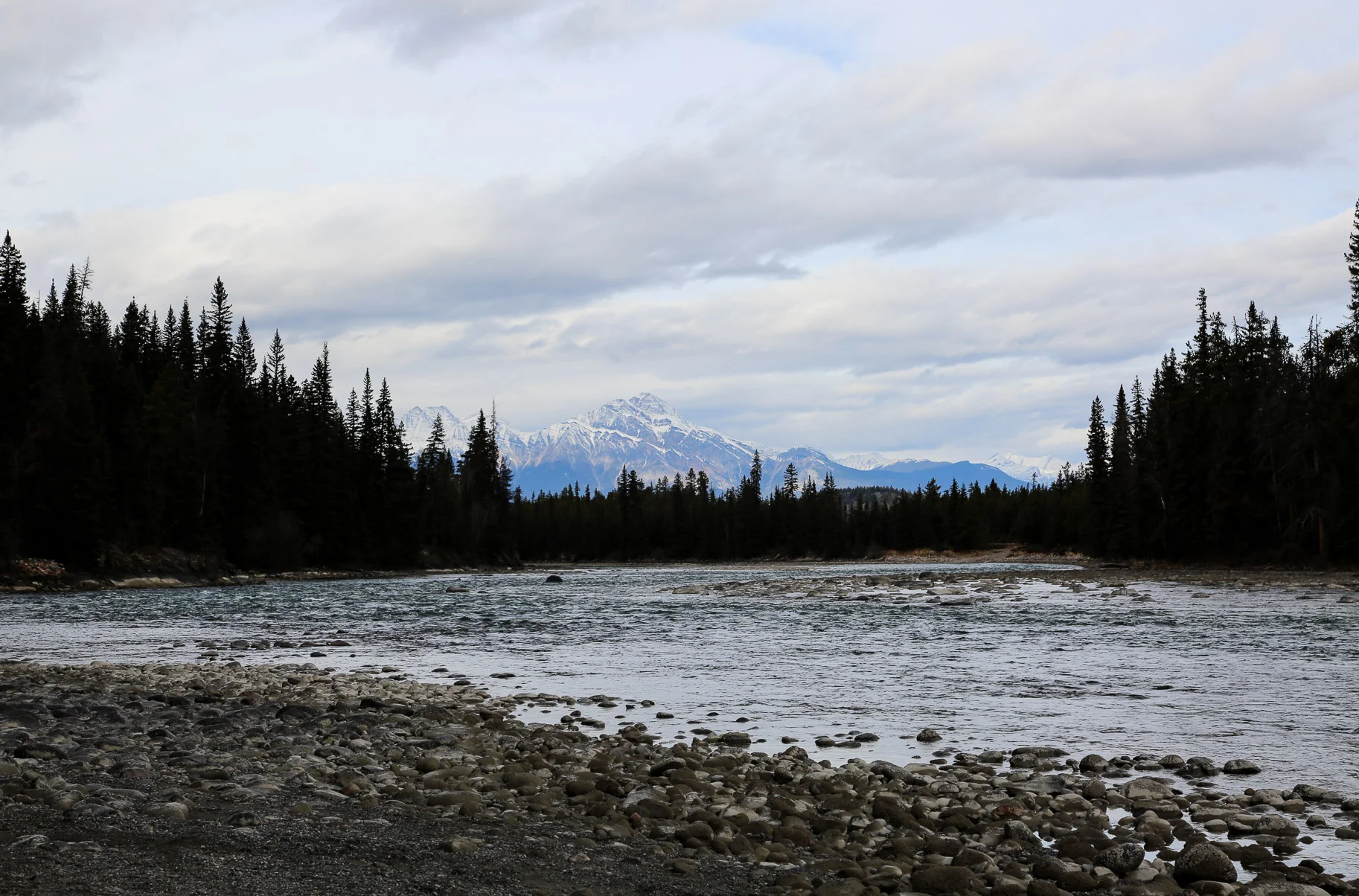 icefield-parkway-drive.jpg