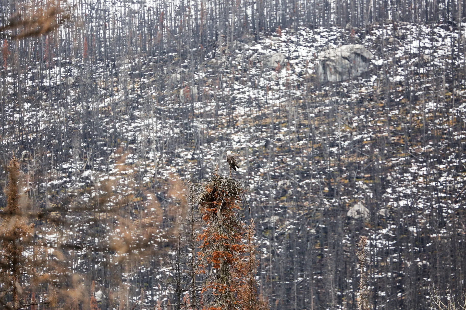 what-to-do-in-Jasper-Alberta1.jpg