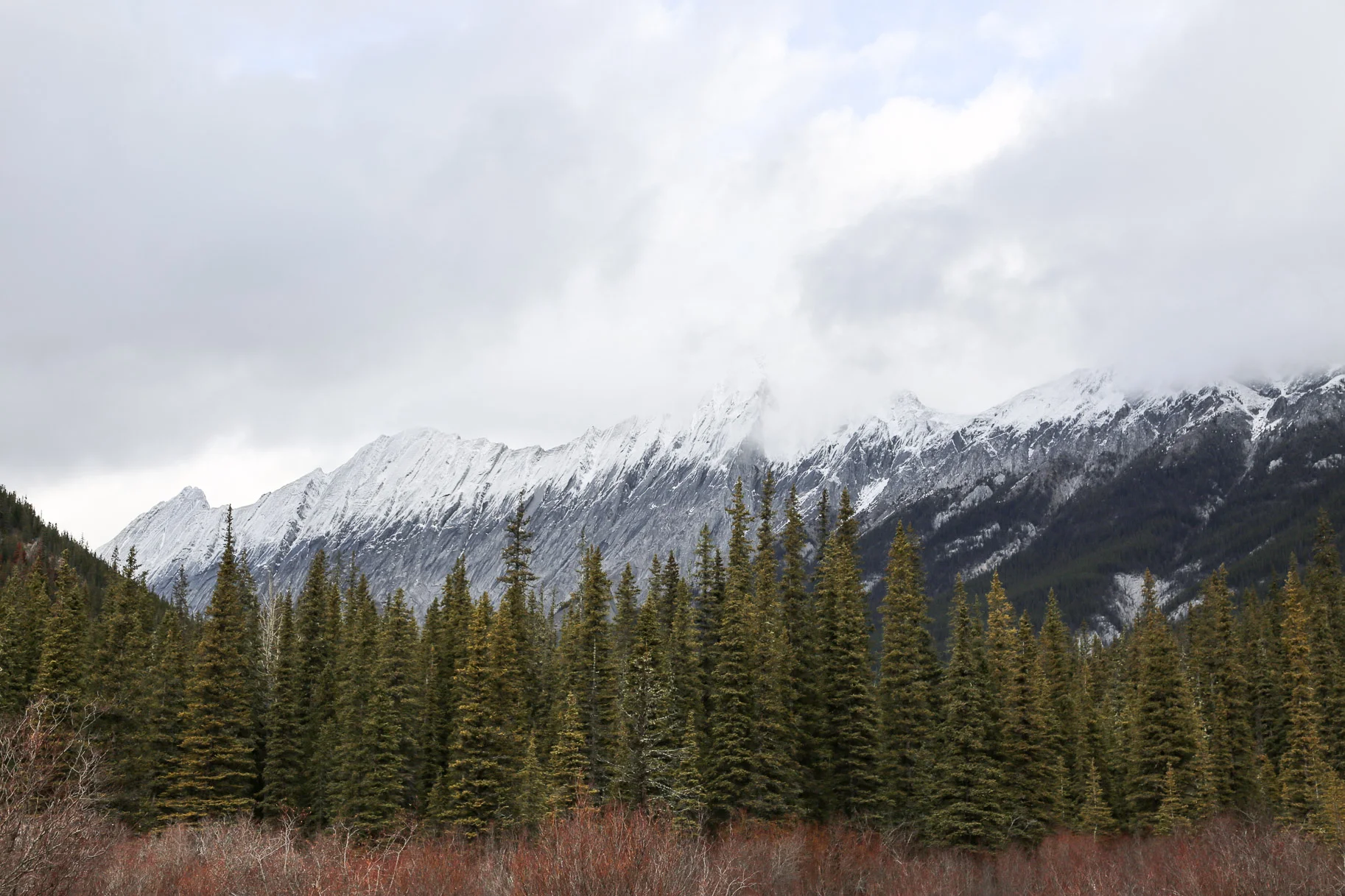 what-to-do-in-Jasper-Alberta10.jpg