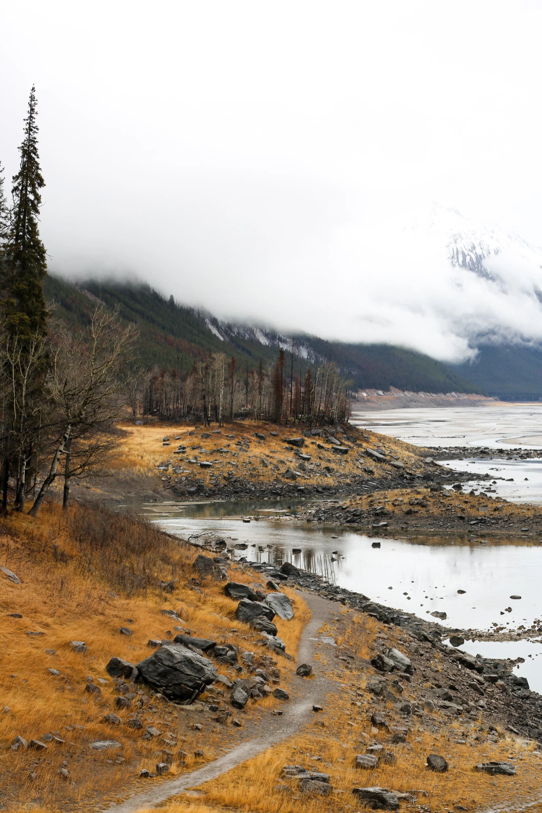 what-to-do-in-Jasper-Alberta23.jpg