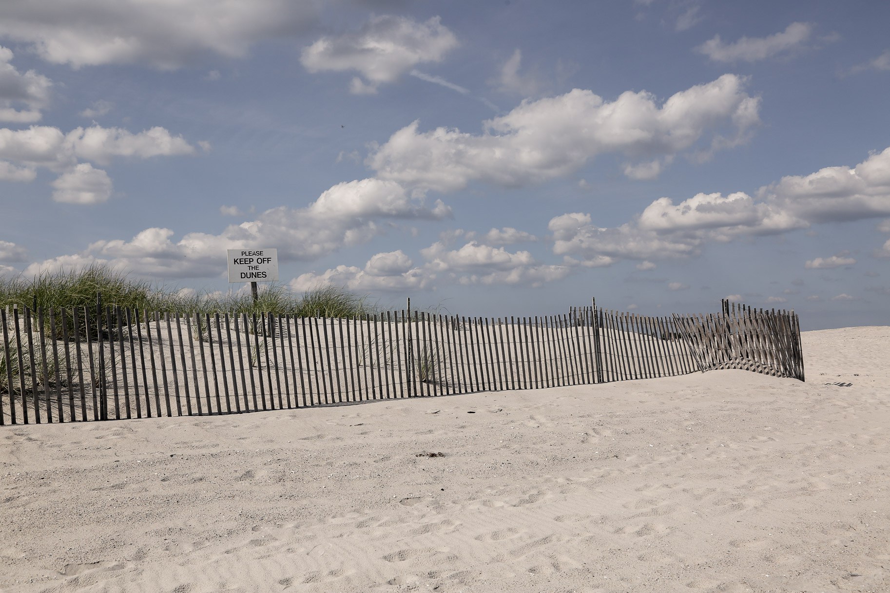 beach-dunes.jpg